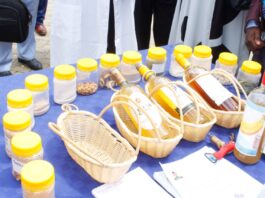 Meru National Polytechnic Now Producing Banana Flour and Wines