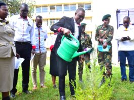 Mama Mboga, Bodaboda and Jua Kali Workers Urged to Join Pension Schemes
