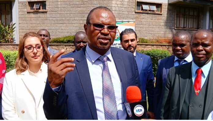 Government will ensure humanitarian food aid is free from pests and contaminants