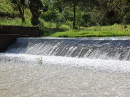 Bodies of two boys who drowned in Dam retrieved after four days