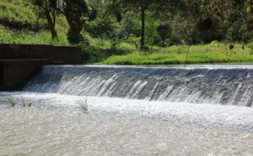 Bodies of two boys who drowned in Dam retrieved after four days