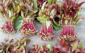 Miraa