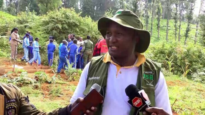 Mwiti Muthamia: Finance Expert Mentoring the Young in Tree Management