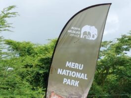 Meru National Park: A Complete Wilderness Paradise Awaits