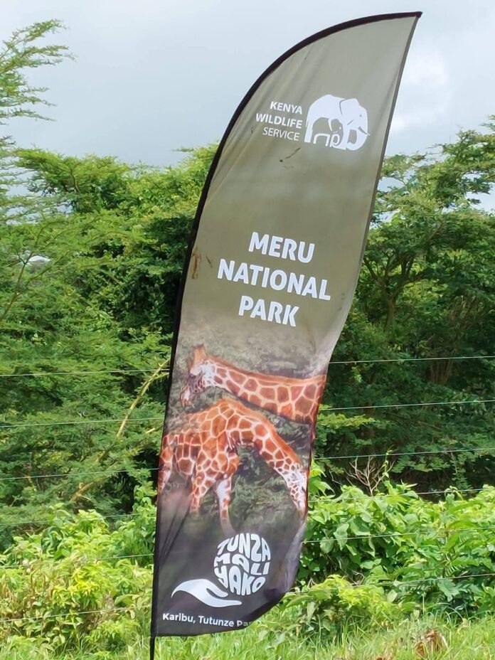 Meru National Park: A Complete Wilderness Paradise Awaits
