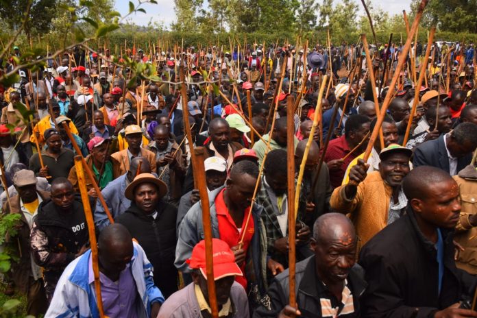Njuri Ncheke Council Declares Support for President Ruto and Deputy President Kindiki