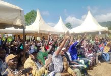Keep Politics Out of Michimikuru Tea, Farmers Tell Politicians