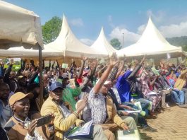 Keep Politics Out of Michimikuru Tea, Farmers Tell Politicians