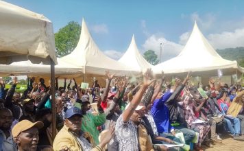 Keep Politics Out of Michimikuru Tea, Farmers Tell Politicians