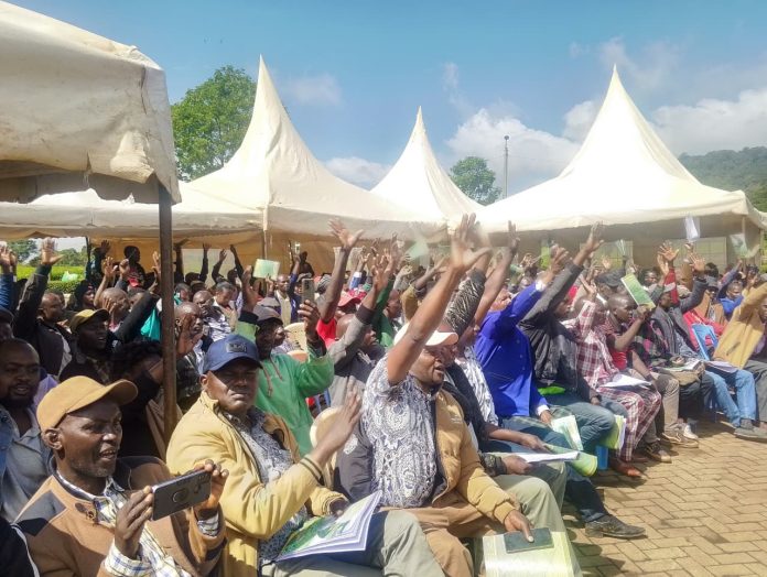 Keep Politics Out of Michimikuru Tea, Farmers Tell Politicians