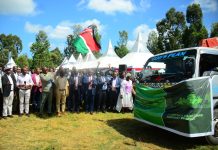 Kenya Introduces Cow Breed to Boost Milk Production