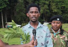 Meru Youth to Plant 3,000 Trees in 30 Hours to Celebrate 30th Birthday