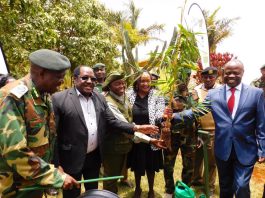 Kenyans urged to grow Bamboo, tap into its many benefits