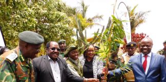 Kenyans urged to grow Bamboo, tap into its many benefits