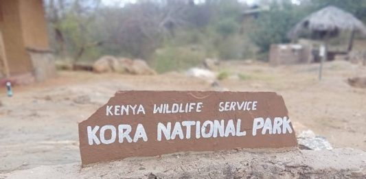 Camels Invading Kora National Park: A Growing Conservation Challenge in Kenya