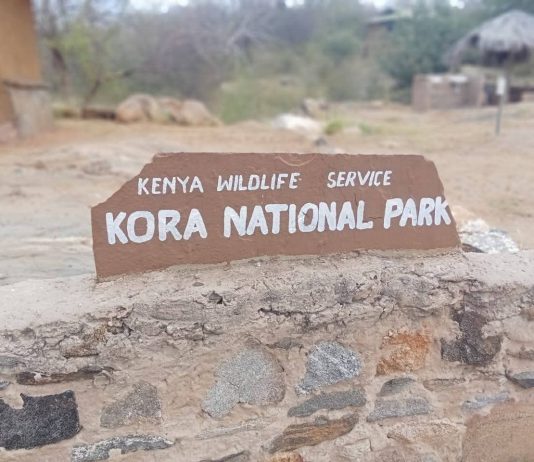 Camels Invading Kora National Park: A Growing Conservation Challenge in Kenya