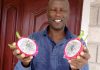 How a visit to China helped Engineer turn dusty, rocky fields into Dragon Fruit Farm