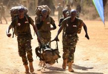More than 2,000 African wildlife rangers race 21km across 21 countries