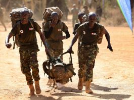 More than 2,000 African wildlife rangers race 21km across 21 countries