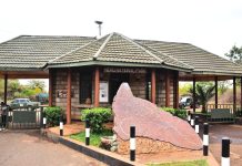 Murera Gate Cultural Festival: Where Ameru Heritage Meets Wild Meru National Park