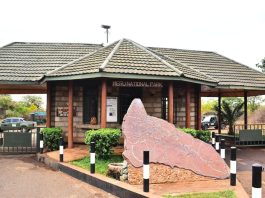 Murera Gate Cultural Festival: Where Ameru Heritage Meets Wild Meru National Park
