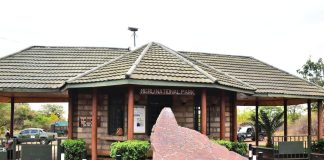 Murera Gate Cultural Festival: Where Ameru Heritage Meets Wild Meru National Park
