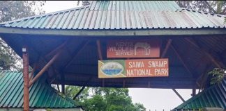 Saiwa Swamp National Park: Kenya’s Hidden Gem in Kitale