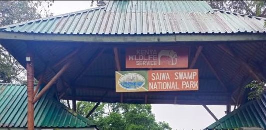 Saiwa Swamp National Park: Kenya’s Hidden Gem in Kitale