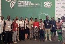 Market access key to unlocking Africa’s agricultural investment, leaders say