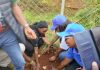 Meru community advised to plant more trees, conserve forest and enhance wealth