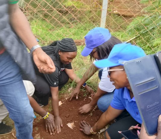 Meru community advised to plant more trees, conserve forest and enhance wealth