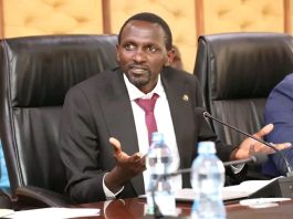 Meru Tea Leaders Allege Intimidation to Abandon Court Fight Against Levy