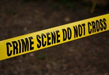 Suspected Bandit Arrested, Two Shot as 90 Goats Stolen in Meru