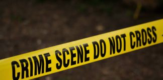 Suspected Bandit Arrested, Two Shot as 90 Goats Stolen in Meru